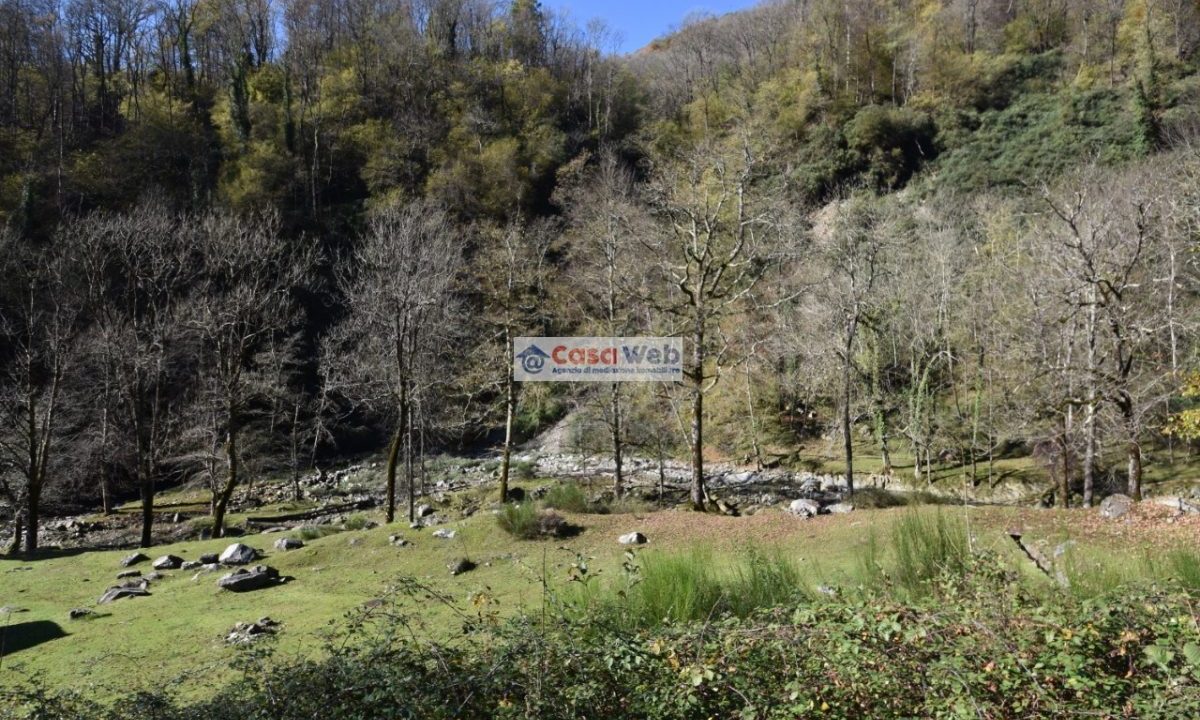 08 Paesaggio