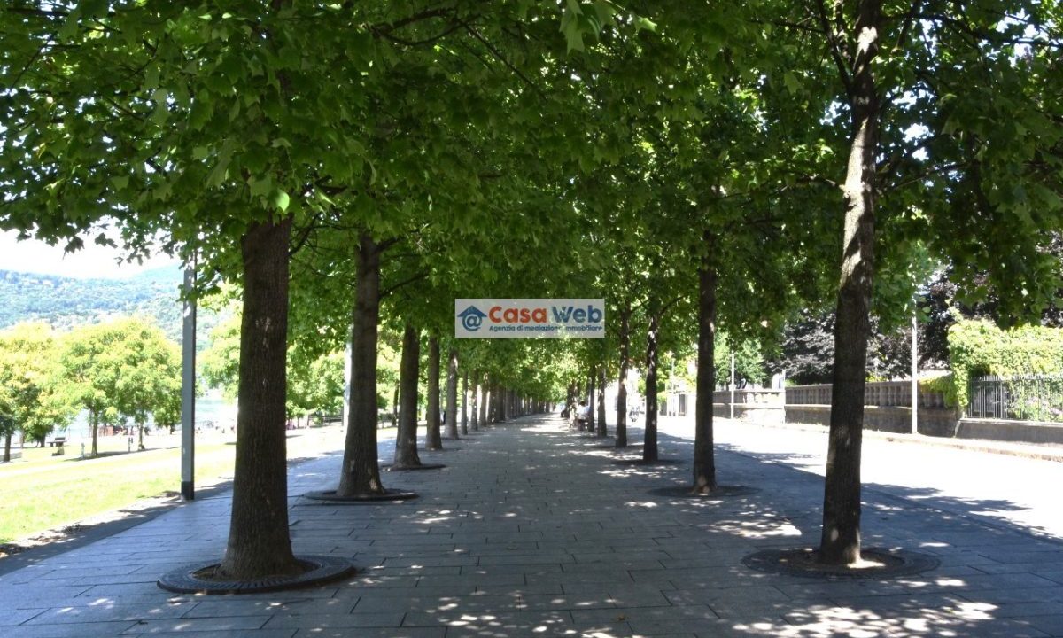 07-1 Luino