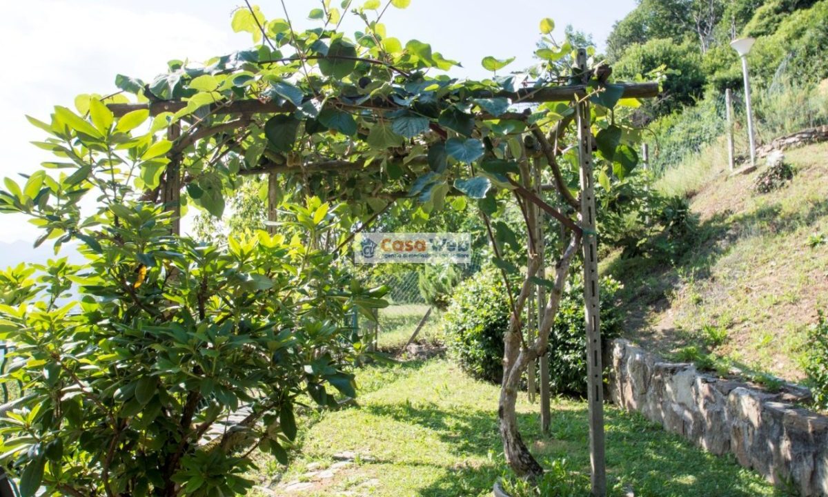 13-6 Giardino