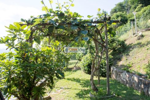 13-6 Giardino