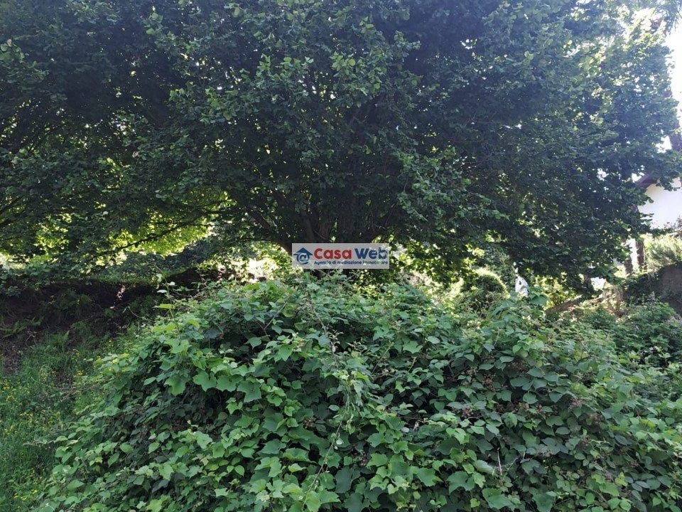 IMG-20240705-WA0014