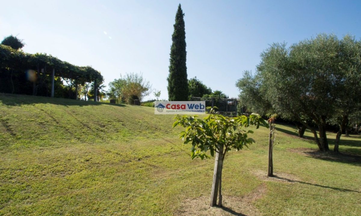 11-5 Giardino
