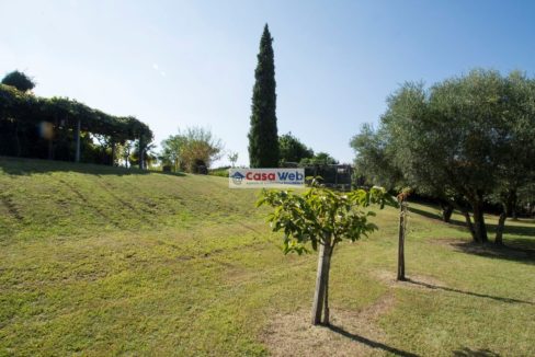 11-5 Giardino