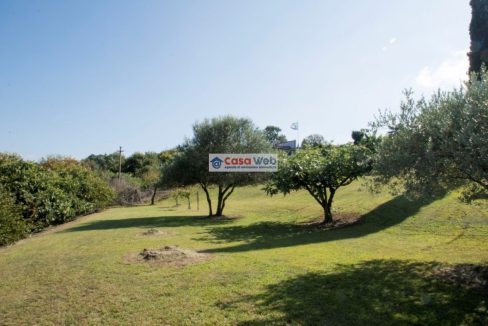 11-4 Giardino