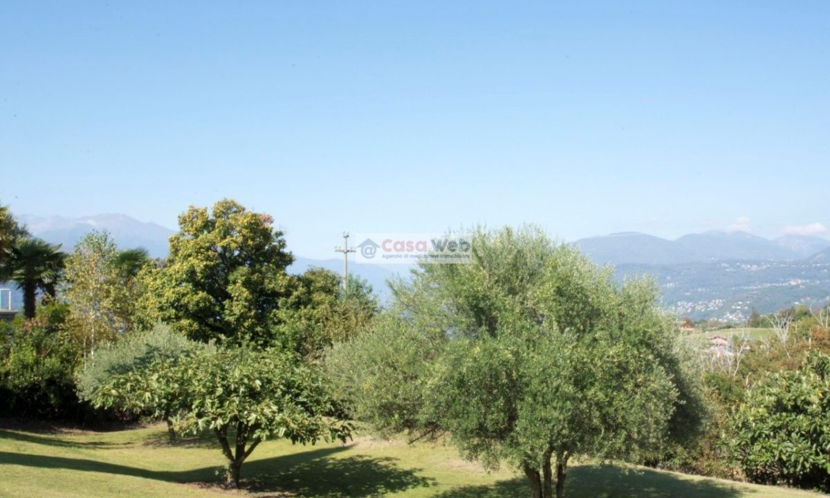 11-6 Giardino