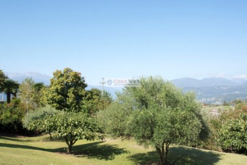 11-6 Giardino