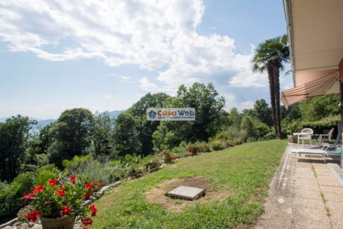 13-4 Giardino
