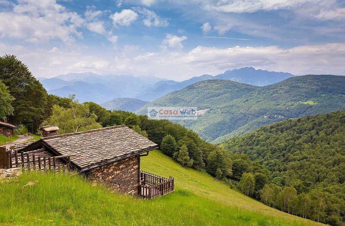 Alpone di Curiglia