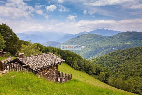 Alpone di Curiglia