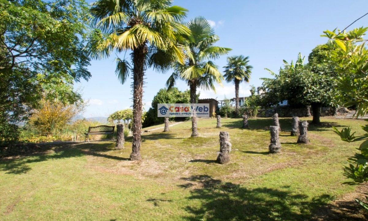 11-1 Giardino
