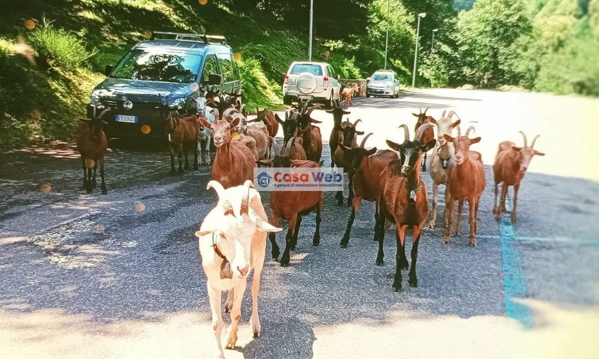 04-6 Parcheggio