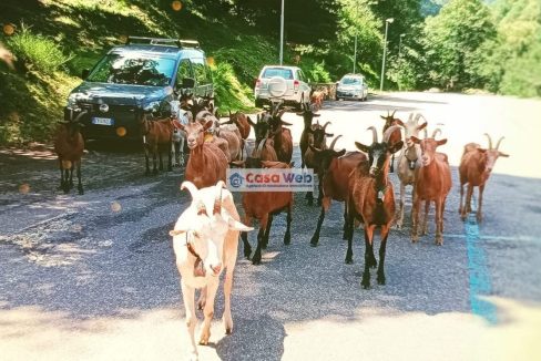 04-6 Parcheggio